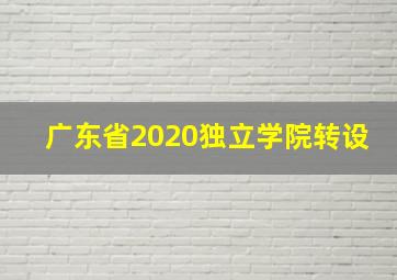 广东省2020独立学院转设