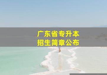 广东省专升本招生简章公布