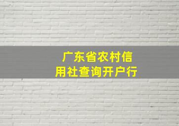 广东省农村信用社查询开户行