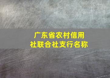 广东省农村信用社联合社支行名称