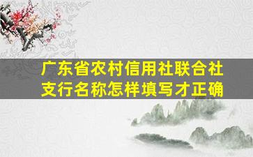 广东省农村信用社联合社支行名称怎样填写才正确