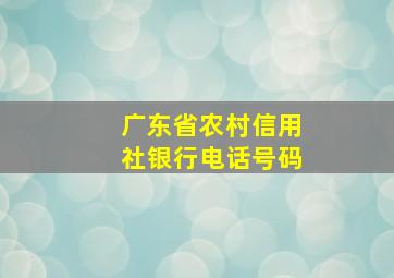 广东省农村信用社银行电话号码