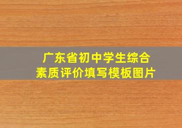 广东省初中学生综合素质评价填写模板图片