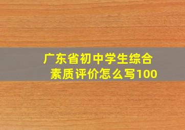 广东省初中学生综合素质评价怎么写100