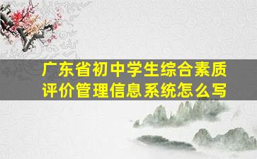 广东省初中学生综合素质评价管理信息系统怎么写