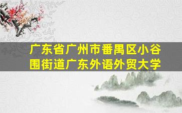 广东省广州市番禺区小谷围街道广东外语外贸大学