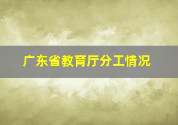 广东省教育厅分工情况