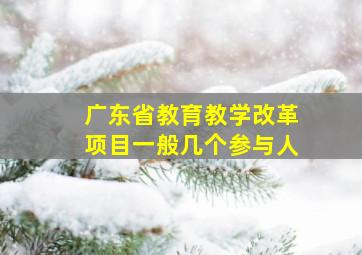 广东省教育教学改革项目一般几个参与人