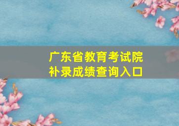 广东省教育考试院补录成绩查询入口