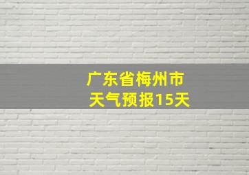 广东省梅州市天气预报15天