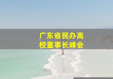 广东省民办高校董事长峰会