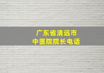 广东省清远市中医院院长电话