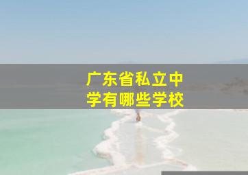 广东省私立中学有哪些学校