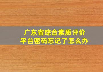 广东省综合素质评价平台密码忘记了怎么办