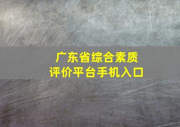 广东省综合素质评价平台手机入口