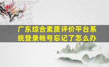 广东综合素质评价平台系统登录帐号忘记了怎么办