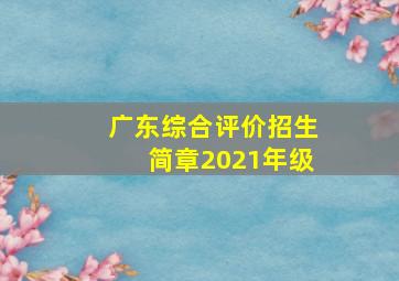 广东综合评价招生简章2021年级