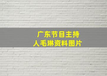 广东节目主持人毛琳资料图片