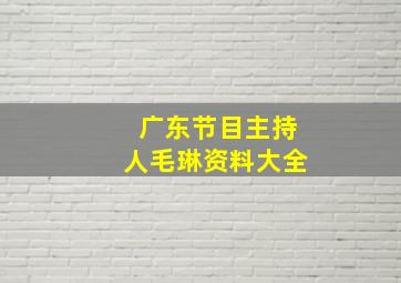 广东节目主持人毛琳资料大全