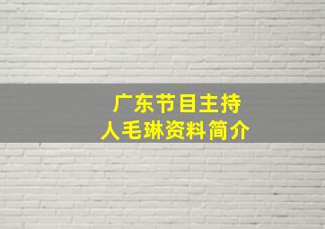 广东节目主持人毛琳资料简介