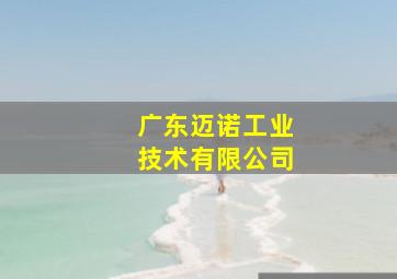 广东迈诺工业技术有限公司