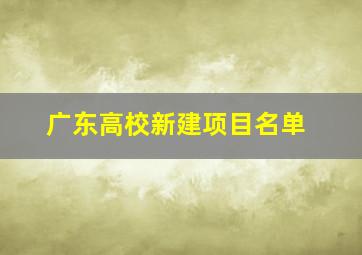 广东高校新建项目名单