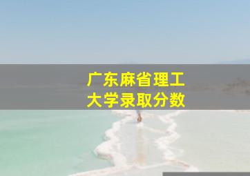 广东麻省理工大学录取分数