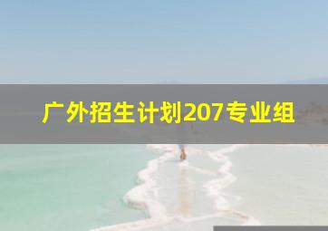 广外招生计划207专业组