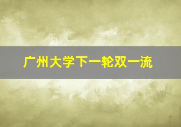 广州大学下一轮双一流