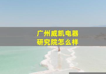 广州威凯电器研究院怎么样