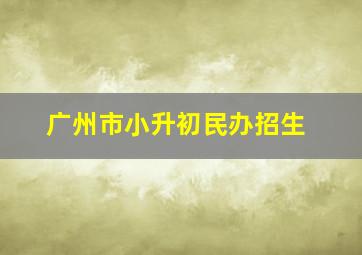 广州市小升初民办招生