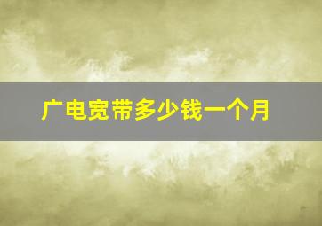 广电宽带多少钱一个月