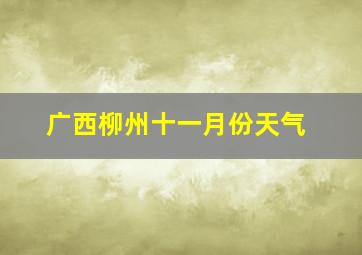 广西柳州十一月份天气