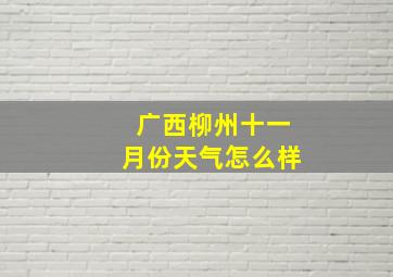 广西柳州十一月份天气怎么样