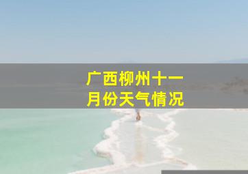 广西柳州十一月份天气情况