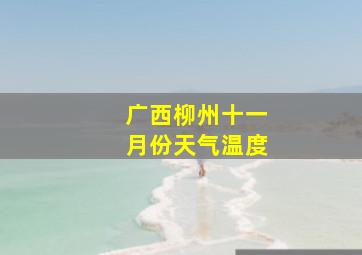 广西柳州十一月份天气温度