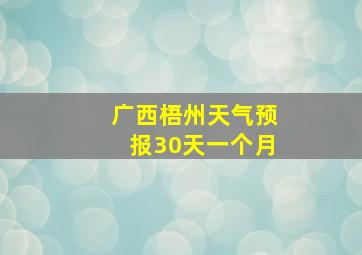 广西梧州天气预报30天一个月