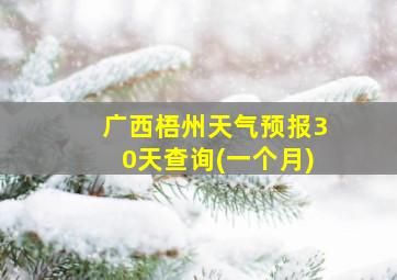 广西梧州天气预报30天查询(一个月)