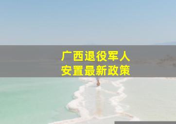 广西退役军人安置最新政策