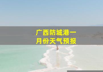 广西防城港一月份天气预报