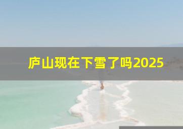 庐山现在下雪了吗2025