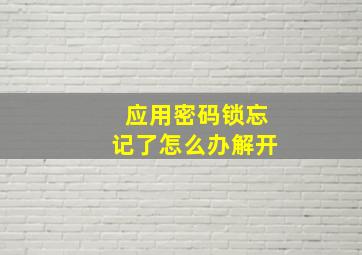 应用密码锁忘记了怎么办解开