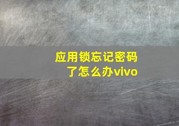 应用锁忘记密码了怎么办vivo