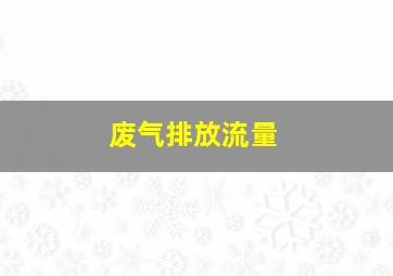 废气排放流量