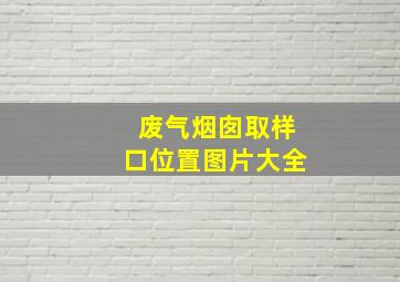 废气烟囱取样口位置图片大全