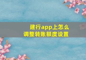 建行app上怎么调整转账额度设置