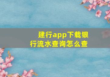 建行app下载银行流水查询怎么查