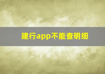 建行app不能查明细