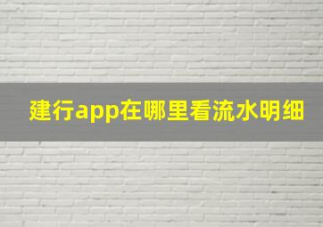 建行app在哪里看流水明细