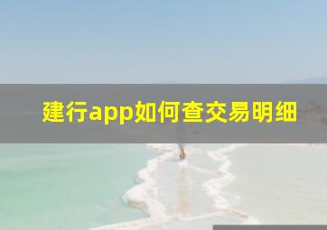 建行app如何查交易明细